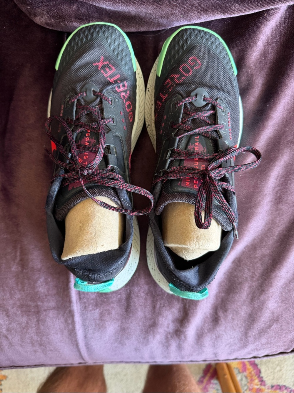Nike Pegasus Trail GORE-TEX Black Sneakers with Mint and Red Accents